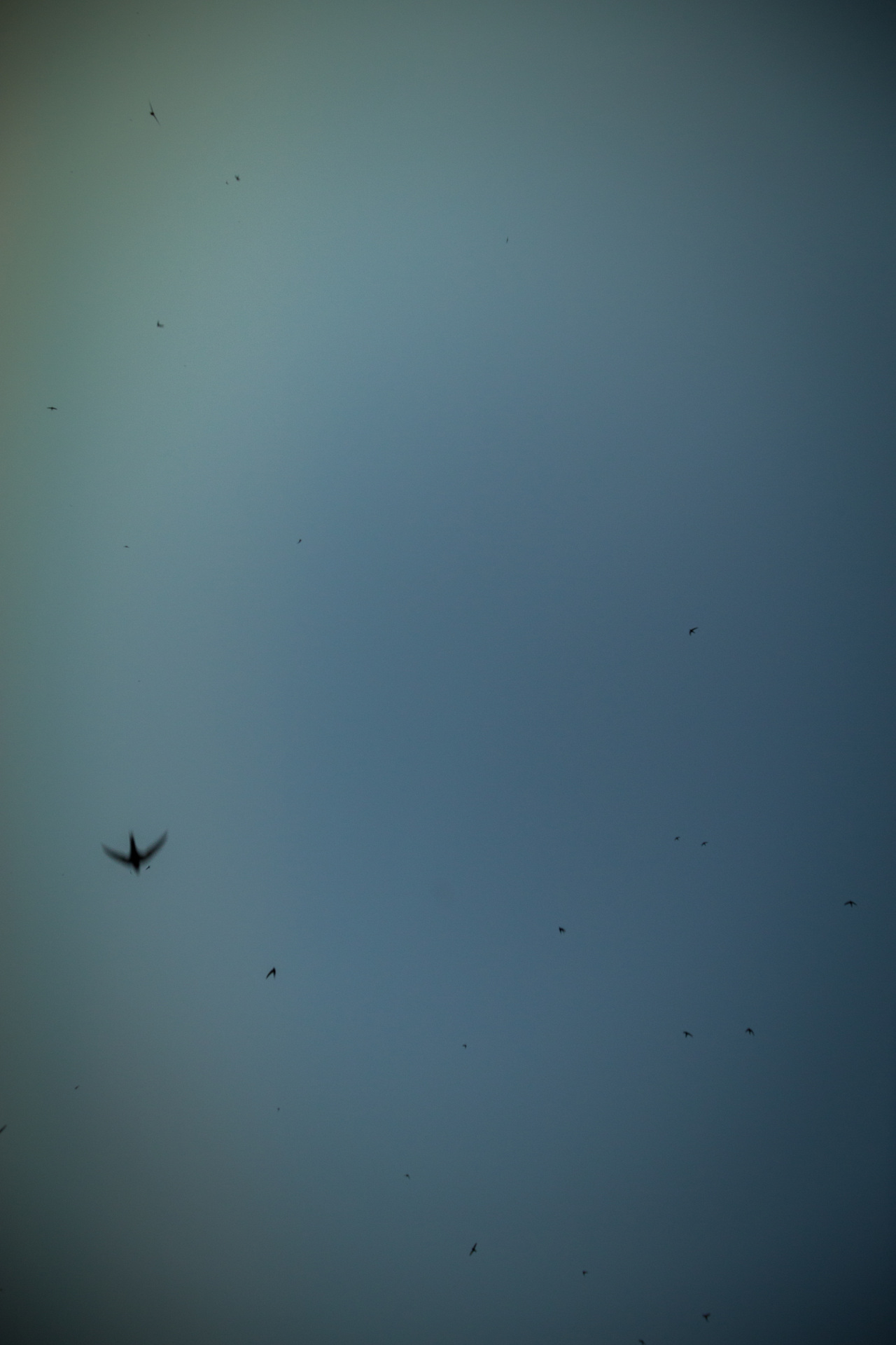 Photograph from UNNAMED DARKNESS